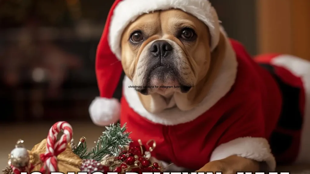 christmas captions for instagram funny