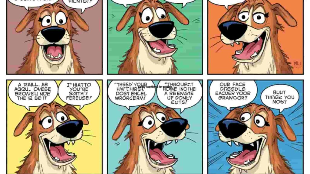 funny captions with dogs