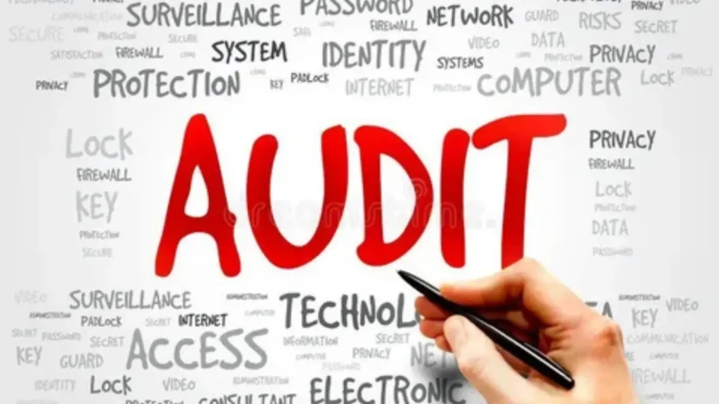 audit synonym