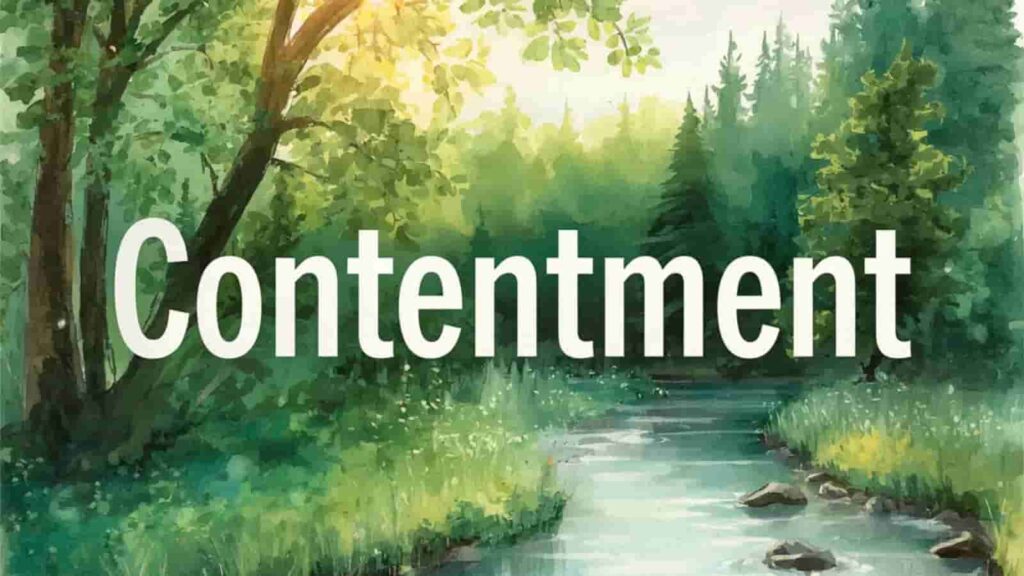 contentment synonym