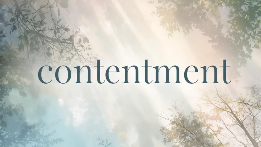 contentment synonym