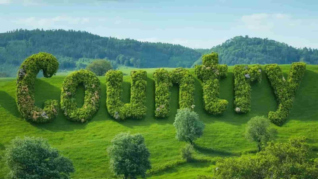 country synonym