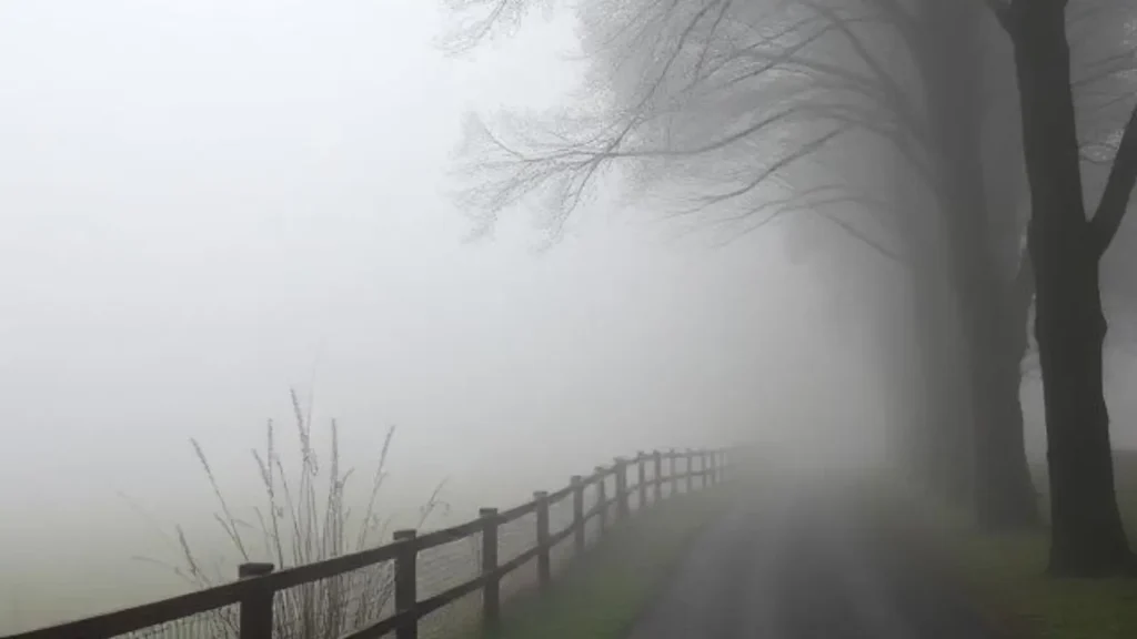 fog synonym
