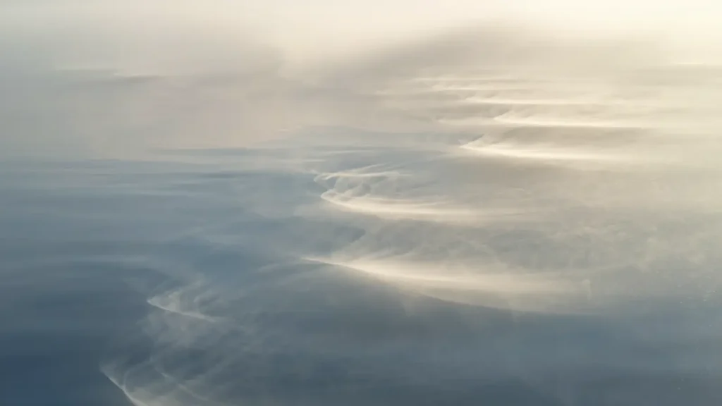 fog synonym