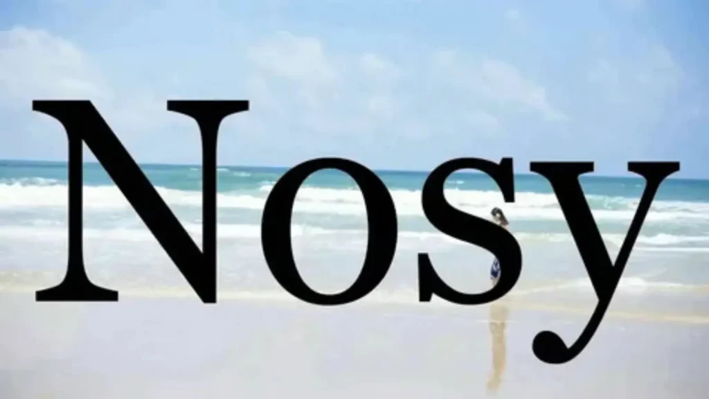 nosy synonym