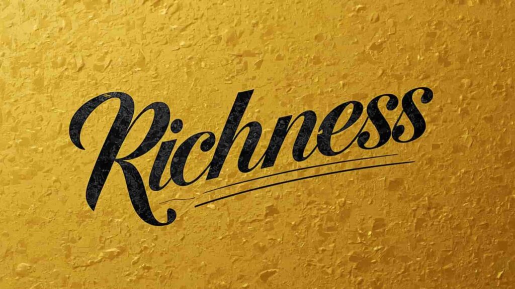 richness synonym