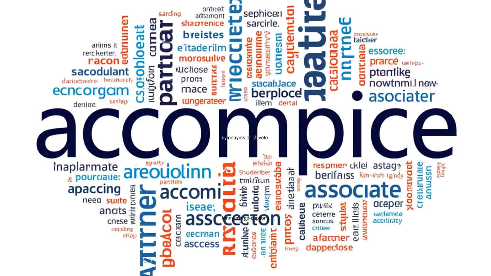 accomplice synonym